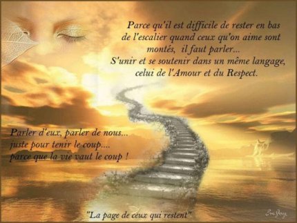 3113606475_1_3_Io0bSQ9A