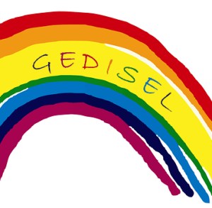logo Gedisel