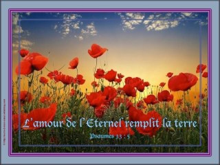 EB5EsoFDNL4QXGqbel5ntmS_PcY